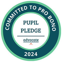 Pro Bono Pupil Pledge 2024